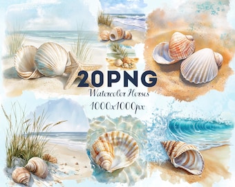 Seashell Beach Watercolor Clipart Set - 20 PNG
