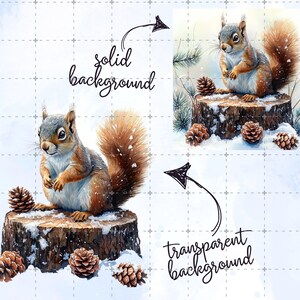 May include: Watercolor illustration of a squirrel sitting on a snow-covered tree stump, surrounded by pine cones. The squirrel has gray and brown fur with a fluffy tail. The image is set against a solid background and a transparent background.
