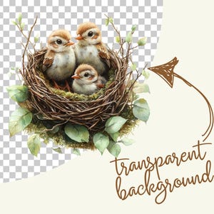 May include: Watercolor illustration of three baby birds nestled in a twig nest, surrounded by green leaves. The birds have brown and white feathers. The image has a transparent background.