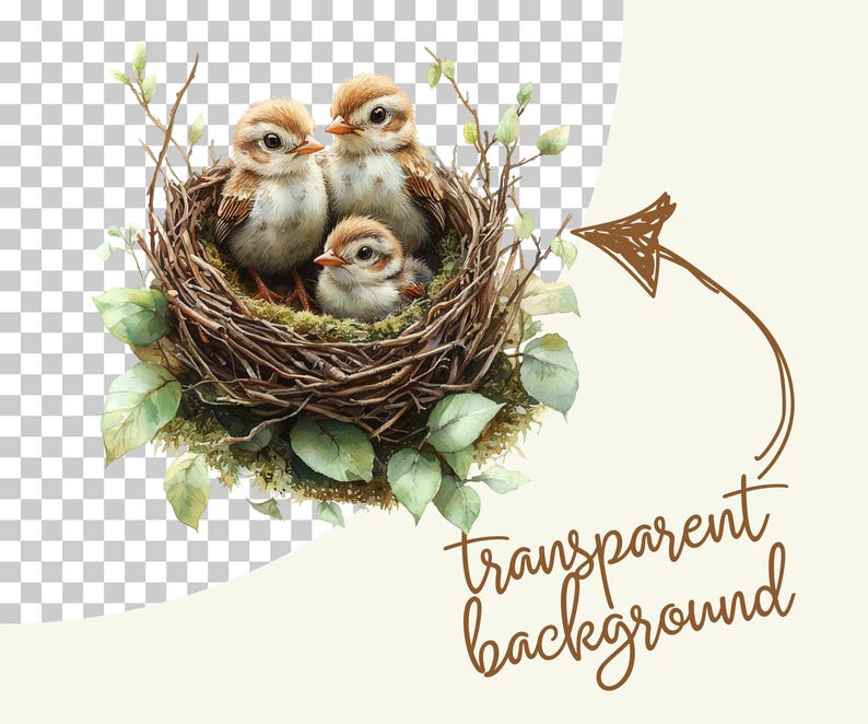 May include: Watercolor illustration of three baby birds nestled in a twig nest, surrounded by green leaves. The birds have brown and white feathers. The image has a transparent background.