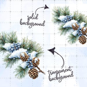 May include: Watercolor illustration of a winter pine branch with green needles, blue berries, and brown pine cones, dusted with snow. The image includes the text "solid background" and "transparent background" with arrows pointing to the image.