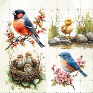 May include: Watercolor illustrations of birds. A red-breasted bird perched on a branch with berries. A yellow duckling stands near a stream. A nest with three baby birds. A blue bird on a flowering branch.