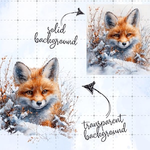 May include: Watercolor illustration of a fox with orange fur and a white face, set in a snowy landscape with brown foliage. The image has a solid background and a transparent background option.