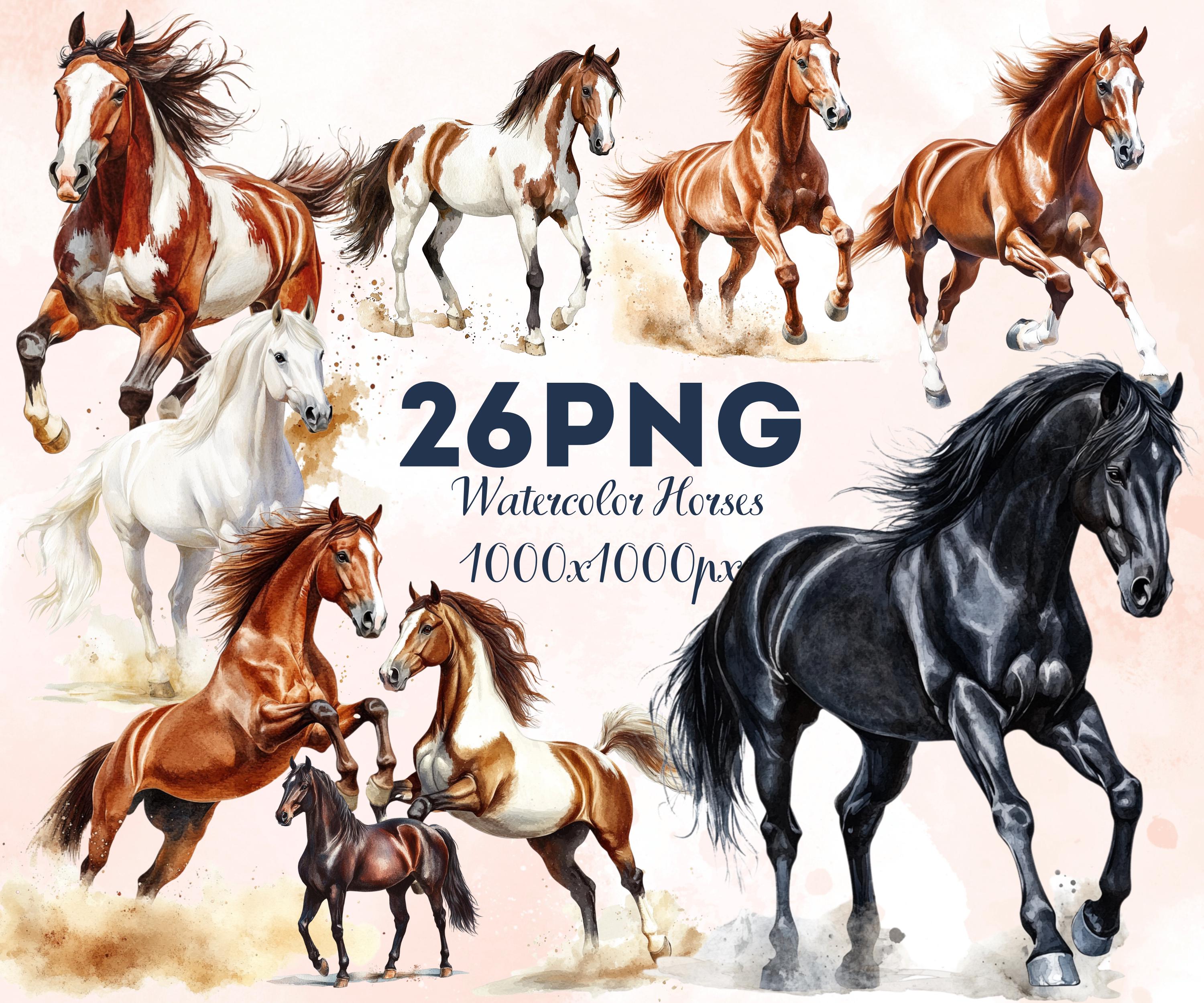 Caballo salvaje - Etsy México, image size:3000x2500