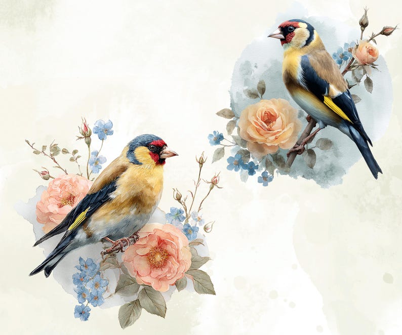 Spring Birds Watercolor Clipart Floral Bird PNG Bundle Nursery Wall spring-birds-watercolor-clipart-floral-bird-png-bundle-nursery-wall