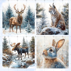 May include: Four watercolor paintings of winter wildlife. A brown deer stands in a snowy forest. A lynx sits on a snow-covered rock. A moose stands near a frozen stream. A rabbit looks up at falling snow.