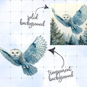May include: Watercolor painting of a flying owl with outstretched wings. The owl is primarily blue and white, with detailed feather patterns. The background features a forest scene and a solid background. The image also includes the text "solid background" and "transparent background".