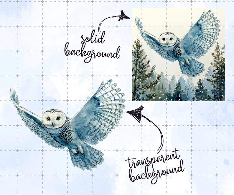 May include: Watercolor painting of a flying owl with outstretched wings. The owl is primarily blue and white, with detailed feather patterns. The background features a forest scene and a solid background. The image also includes the text "solid background" and "transparent background".