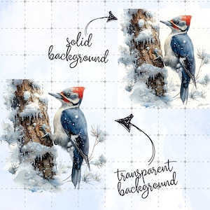May include: Watercolor painting of a Pileated Woodpecker perched on a snow-covered tree trunk. The bird has a red crest, black and white markings, and blue wings. The background is a solid light blue or transparent.