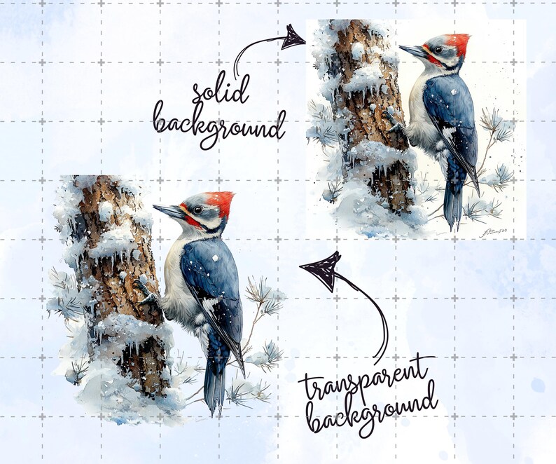 May include: Watercolor painting of a Pileated Woodpecker perched on a snow-covered tree trunk. The bird has a red crest, black and white markings, and blue wings. The background is a solid light blue or transparent.