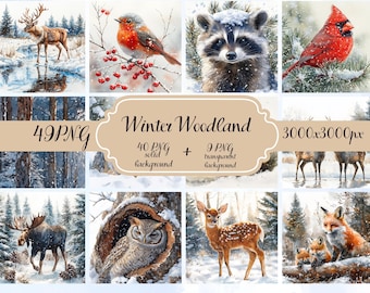 49 Winter Woodland Clipart PNG – Watercolor Forest Animals, Winter Deer, Fox, Owl, Raccoon, Snowy Wildlife, Solid & Transparent Background