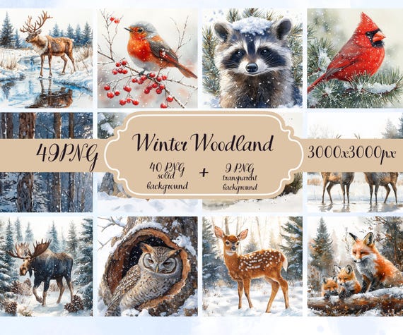 49 Winter Woodland Clipart PNG – Watercolor Forest Animals, Winter Deer, Fox, Owl, Raccoon, Snowy Wildlife, Solid & Transparent Background