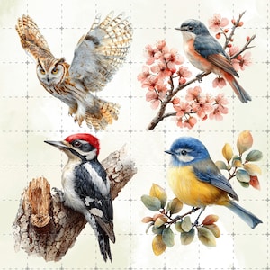 May include: Watercolor illustration of four birds: an owl in flight, a bird on a flowering branch, a woodpecker on a tree branch, and a blue and yellow bird on a leafy branch. The birds are set against a grid background.