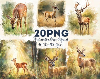 20 PNG Deer Forest Watercolor Clipart Set