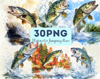 30 PNG Watercolor Jumping Bass Clipart, Fishing Bass Illustration, Fisherman Art, Outdoor Lake Fish