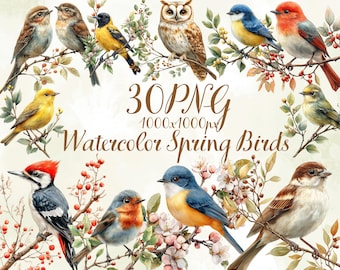 May include: Watercolor illustration of various birds perched on branches with leaves and berries. The image includes an owl, woodpecker, and other colorful birds. Text reads "30 PNG 1000x1000px Watercolor Spring Birds."