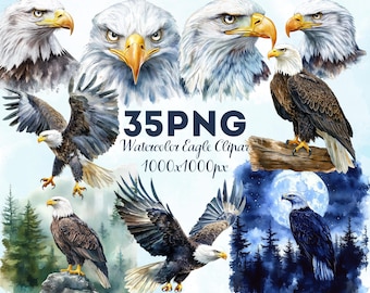 Bald Eagle Watercolor Illustrations - 35 PNG Eagle Art Bundle