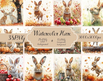 Watercolor Hare Clipart – Forest Animal Illustrations (Digital Download)