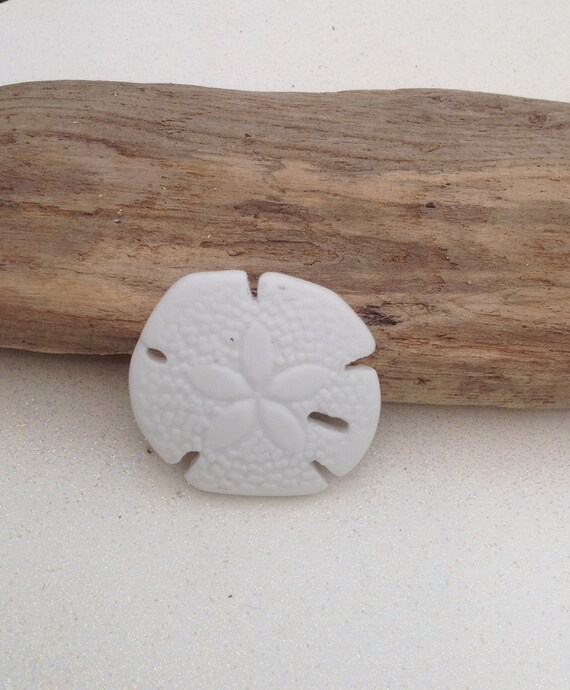 YOU PICK COLOR 1 Piece Frosted Sea Glass Finish Large Sand Dollars