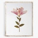 see more listings in the Pressed Flower Art section