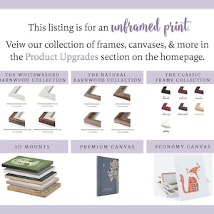 May include: A comparison of different framing options for prints. The Whitewashed Barnwood Collection features whitewashed wood frames in 1.5 and 2.25 inch sizes. The Natural Barnwood Collection features natural wood frames in 1.5 and 2.25 inch sizes. The Classic Frame Collection features black, walnut, mocha, cherry, charcoal, natural, and white frames. The 3D Mounts option features a stack of three-dimensional mounts. The Premium Canvas option features a canvas print with a white border. The Economy Canvas option features a canvas print with a white border.