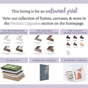 May include: A comparison of different framing options for prints. The Whitewashed Barnwood Collection features whitewashed wood frames in 1.5 and 2.25 inch sizes. The Natural Barnwood Collection features natural wood frames in 1.5 and 2.25 inch sizes. The Classic Frame Collection features black, walnut, mocha, cherry, charcoal, natural, and white frames. The 3D Mounts option features a stack of three-dimensional mounts. The Premium Canvas option features a canvas print with a white border. The Economy Canvas option features a canvas print with a white border.