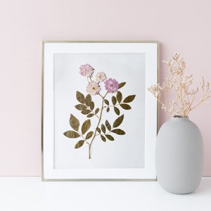 Pressed Flower Art Print, Pink Roses, Botanical Wall Art, Farmhouse Decor, Photo Reproduction of Original Pressed Flower Specimen image 4