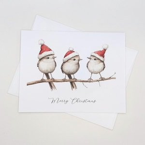 Santa Birds Christmas Cards, matching set of 8, Merry Christmas greetings
