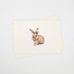 Bunny Note Cards, 8 Small 4-bar Size Rabbit  Notes, Easter, all occasion