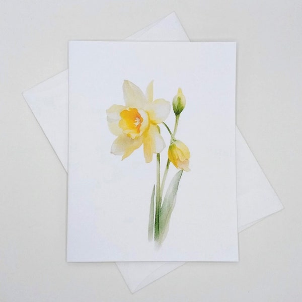Daffodil Card Set, 8 blank folded cards,  watercolor flowers, daffodils, spring flowers, notecards