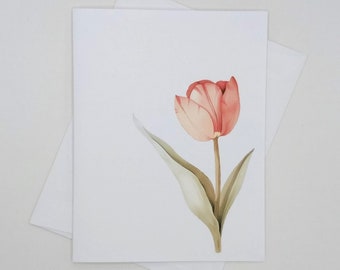 Pink Tulip Note Cards Set, 8 blank folded cards, watercolor flowers, notecards, spring flowers, tulips