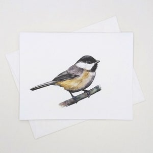 Chickadee Bird Note Card Set, 8 blank inside matching cards with envelopes, Black Capped Chickadee, watercolor style birds