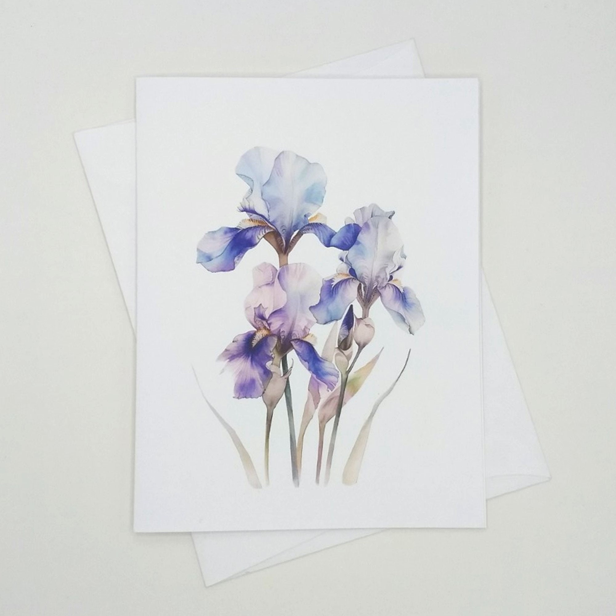 Iris card set blank folded note cards watercolor flowers garden