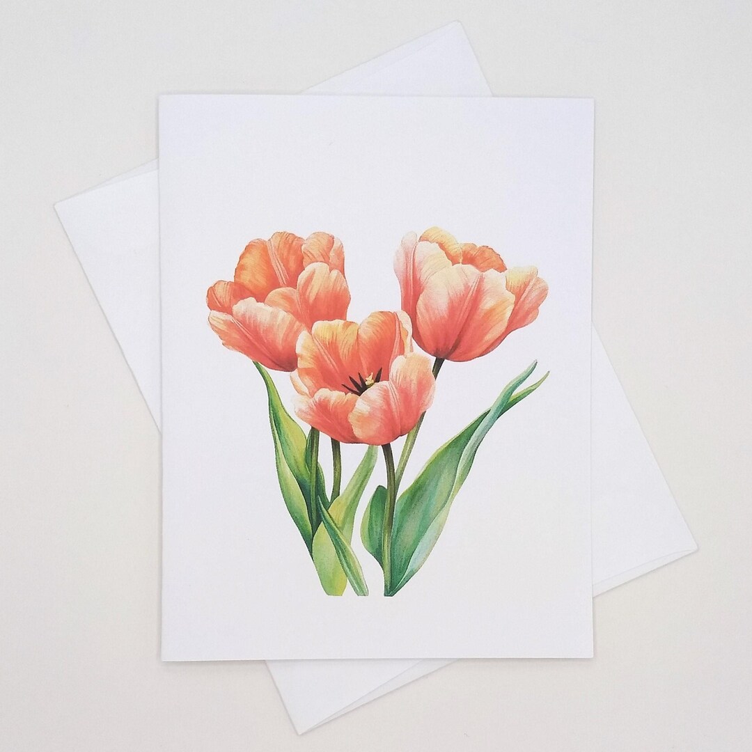 Tulips Note Orange Tulips Card Set, 8 Matching Note Cards, Spring Flowers, All ...