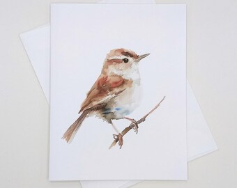 Wren Bird Note Cards, 8 matching cards, all occasion notes