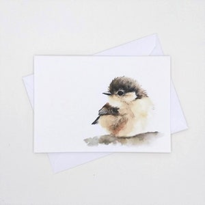 Chickadee Bird Note Cards Set, 8 blank folded cards, watercolor bird, notecards image 1