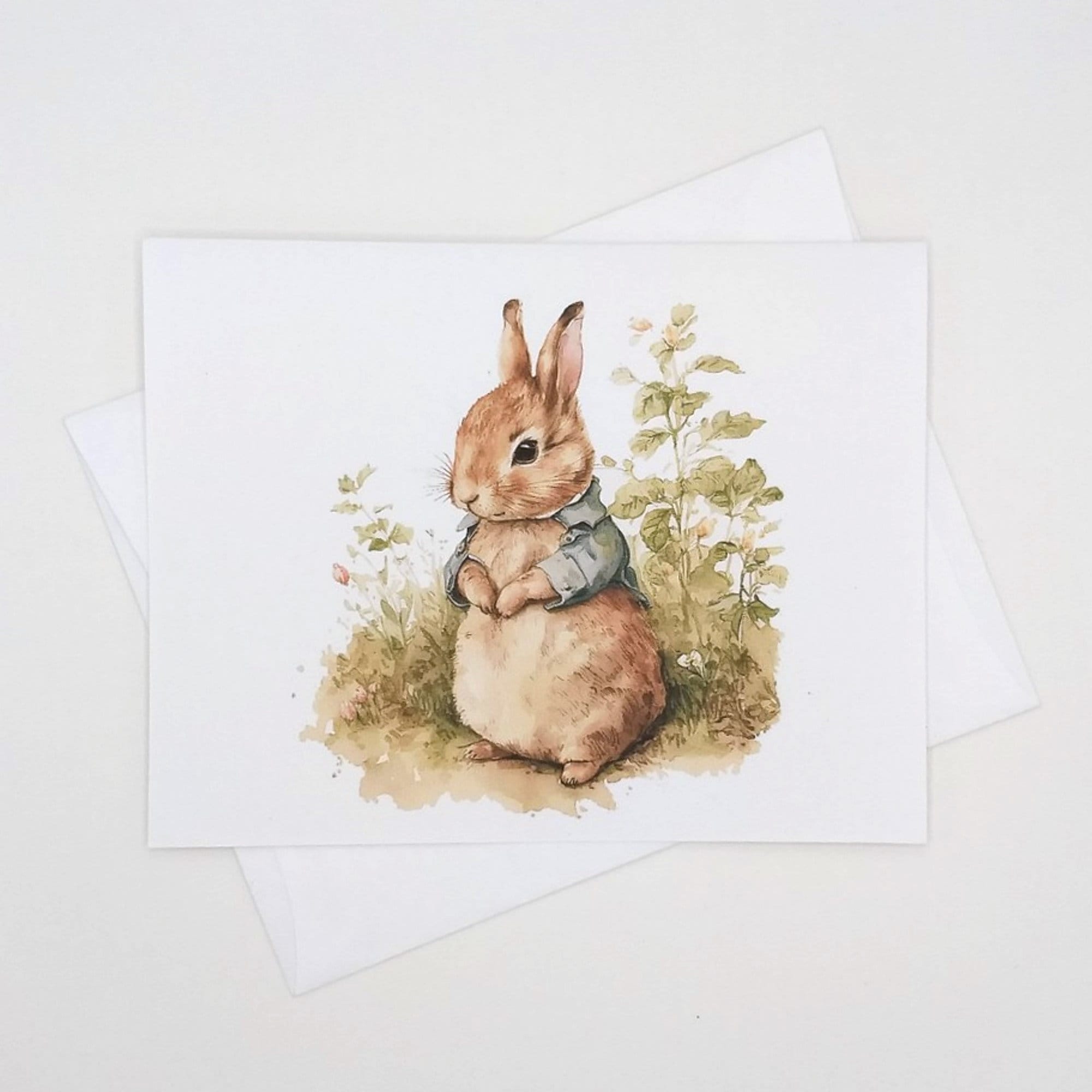 Peter Rabbit Style Bunny Note Cards, Set of 8 Blank Folded Cards ...