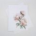 see more listings in the Roses - Peonies section