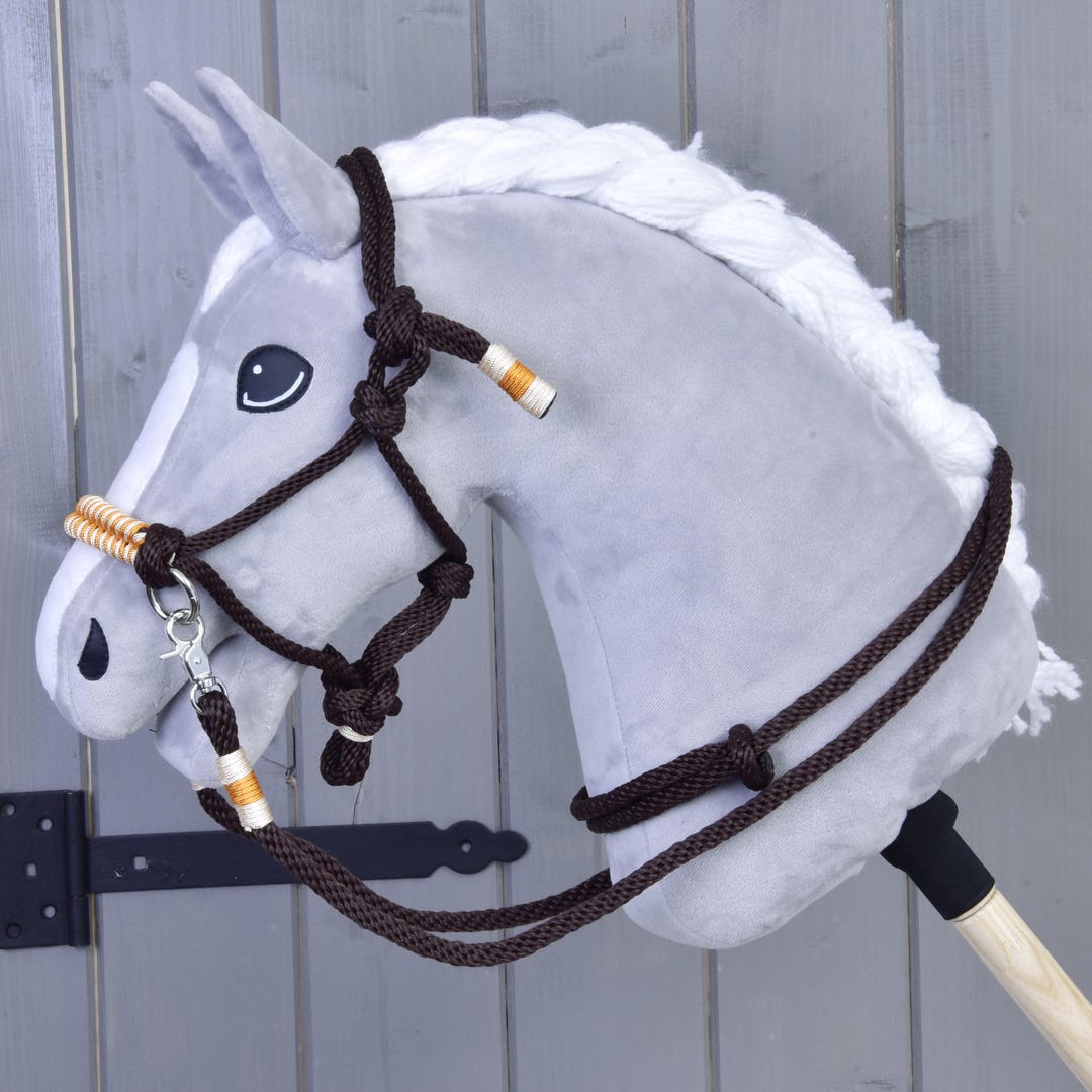 Larden Hobby Horse Rope Set Orange: Rope Halter, Reins & Cordeo ...