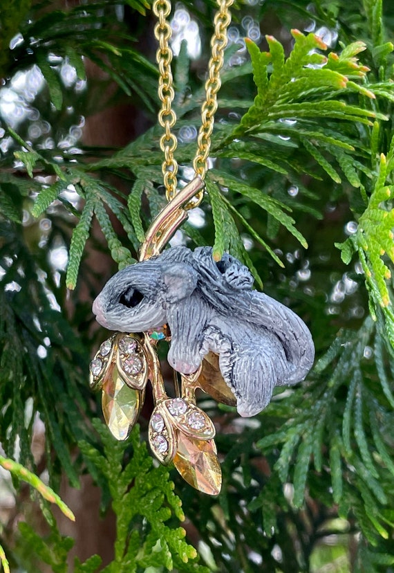 Pin by Autumn Clay on Sugar Gliders