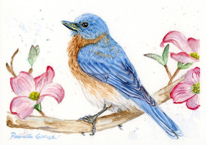 Eastern Bluebird Watercolor Print Bird Art Nursery Decor | Etsy