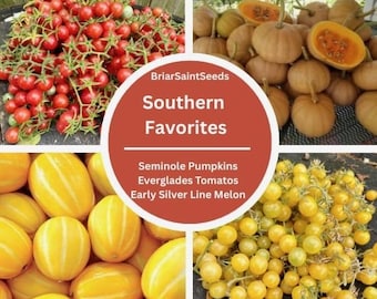 Southern Favorites Easy To Grow Seeds Seminole Pumpkin Everglades Tomatoes Early Silver Melon