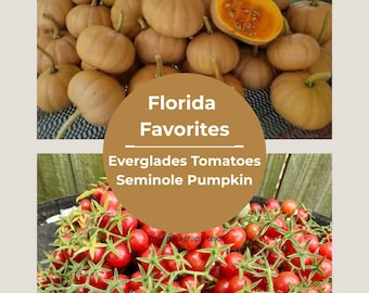 Seminole Pumpkin & Everglades Tomato Easy to Grow Florida Favorites