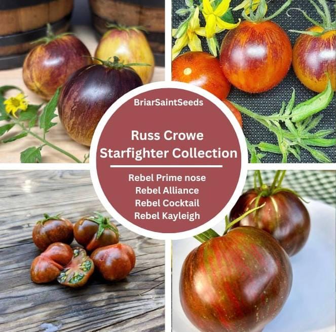 Russ Crowe Starfighter Tomato Seeds Collection Rebel Alliance Starfighter Kayleigh Prime Nose