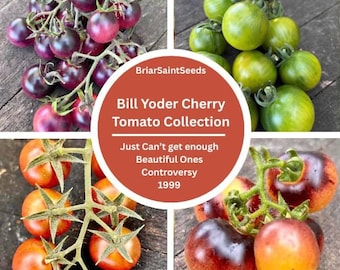 Bill Yoder Cherry Tomato Seeds Collection Just Can&#39;t Get Enough Beautiful Ones Controversy 1999
