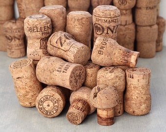 50 Champagne Corks - used sparkling wine cork lot for crafting supplies - 1 pound assorted sizes brands