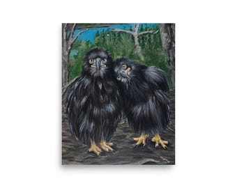 Sandy and Luna Big Bear Eaglets Art Print poster 8x10