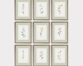 Wildflower Prints Set of 9 Watercolor Botanical Wall Art, Girl Nursery Floral Prints Sage Green Wildflower Cottagecore Printable Art B3