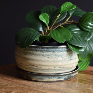 Handmade pottery Planter, succulent pot, with tray, Cream/Blue