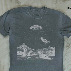Raccoon Ufo Funny Graphic T Shirt, Cool Vintage Style Raccoon Shirt Lovers Gift Retro 90s Alien Shirt, Unisex Adult Animal Lover Tshirt Gift